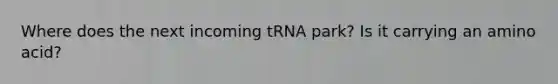 Where does the next incoming tRNA park? Is it carrying an amino acid?