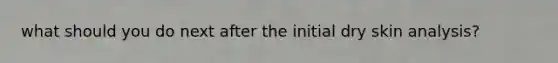 what should you do next after the initial dry skin analysis?