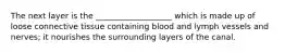 The next layer is the ___________________ which is made up of loose connective tissue containing blood and lymph vessels and nerves; it nourishes the surrounding layers of the canal.