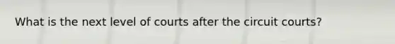 What is the next level of courts after the circuit courts?