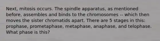 Next, mitosis occurs. The spindle apparatus, as mentioned before, assembles and binds to the chromosomes -- which then moves the sister chromatids apart. There are 5 stages in this: prophase, prometaphase, metaphase, anaphase, and telophase. What phase is this?