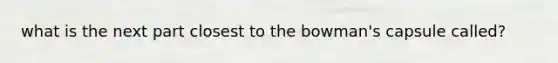 what is the next part closest to the bowman's capsule called?