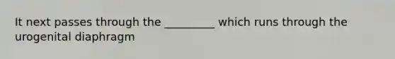 It next passes through the _________ which runs through the urogenital diaphragm