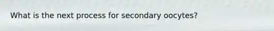 What is the next process for secondary oocytes?