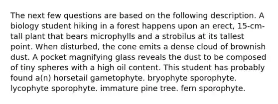 The next few questions are based on the following description. A biology student hiking in a forest happens upon an erect, 15-cm-tall plant that bears microphylls and a strobilus at its tallest point. When disturbed, the cone emits a dense cloud of brownish dust. A pocket magnifying glass reveals the dust to be composed of tiny spheres with a high oil content. This student has probably found a(n) horsetail gametophyte. bryophyte sporophyte. lycophyte sporophyte. immature pine tree. fern sporophyte.