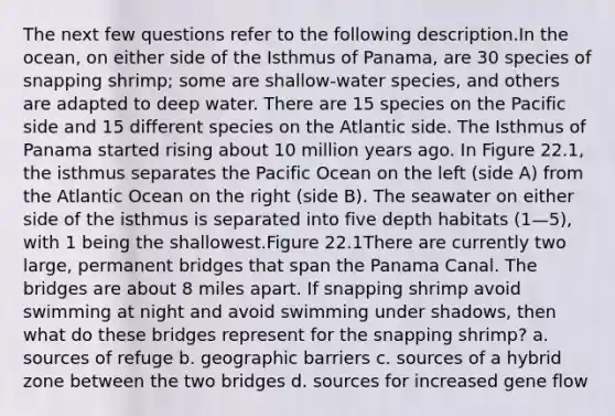 The next few questions refer to the following description.In the ocean, on either side of the Isthmus of Panama, are 30 species of snapping shrimp; some are shallow-water species, and others are adapted to deep water. There are 15 species on the Pacific side and 15 different species on the Atlantic side. The Isthmus of Panama started rising about 10 million years ago. In Figure 22.1, the isthmus separates the Pacific Ocean on the left (side A) from the Atlantic Ocean on the right (side B). The seawater on either side of the isthmus is separated into five depth habitats (1—5), with 1 being the shallowest.Figure 22.1There are currently two large, permanent bridges that span the Panama Canal. The bridges are about 8 miles apart. If snapping shrimp avoid swimming at night and avoid swimming under shadows, then what do these bridges represent for the snapping shrimp? a. sources of refuge b. geographic barriers c. sources of a hybrid zone between the two bridges d. sources for increased gene flow