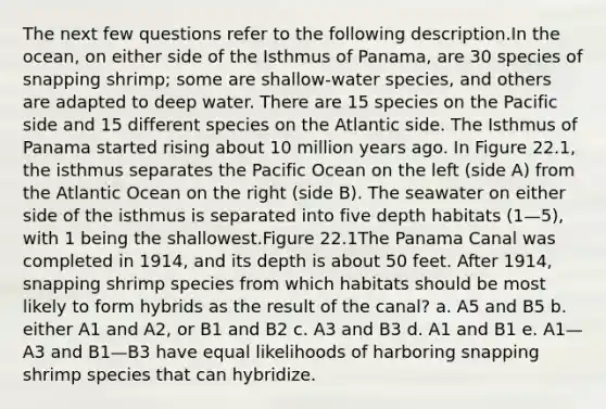 The next few questions refer to the following description.In the ocean, on either side of the Isthmus of Panama, are 30 species of snapping shrimp; some are shallow-water species, and others are adapted to deep water. There are 15 species on the Pacific side and 15 different species on the Atlantic side. The Isthmus of Panama started rising about 10 million years ago. In Figure 22.1, the isthmus separates the Pacific Ocean on the left (side A) from the Atlantic Ocean on the right (side B). The seawater on either side of the isthmus is separated into five depth habitats (1—5), with 1 being the shallowest.Figure 22.1The Panama Canal was completed in 1914, and its depth is about 50 feet. After 1914, snapping shrimp species from which habitats should be most likely to form hybrids as the result of the canal? a. A5 and B5 b. either A1 and A2, or B1 and B2 c. A3 and B3 d. A1 and B1 e. A1—A3 and B1—B3 have equal likelihoods of harboring snapping shrimp species that can hybridize.