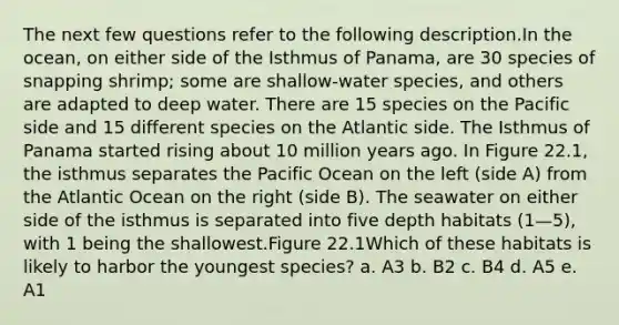 The next few questions refer to the following description.In the ocean, on either side of the Isthmus of Panama, are 30 species of snapping shrimp; some are shallow-water species, and others are adapted to deep water. There are 15 species on the Pacific side and 15 different species on the Atlantic side. The Isthmus of Panama started rising about 10 million years ago. In Figure 22.1, the isthmus separates the Pacific Ocean on the left (side A) from the Atlantic Ocean on the right (side B). The seawater on either side of the isthmus is separated into five depth habitats (1—5), with 1 being the shallowest.Figure 22.1Which of these habitats is likely to harbor the youngest species? a. A3 b. B2 c. B4 d. A5 e. A1