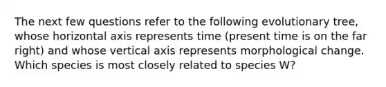 The next few questions refer to the following evolutionary tree, whose horizontal axis represents time (present time is on the far right) and whose vertical axis represents morphological change. Which species is most closely related to species W?