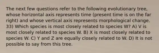 The next few questions refer to the following evolutionary tree, whose horizontal axis represents time (present time is on the far right) and whose vertical axis represents morphological change. 33) Which species is most closely related to species W? A) V is most closely related to species W. B) X is most closely related to species W. C) Y and Z are equally closely related to W. D) It is not possible to say from this tree.