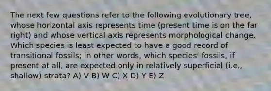 The next few questions refer to the following evolutionary tree, whose horizontal axis represents time (present time is on the far right) and whose vertical axis represents morphological change. Which species is least expected to have a good record of transitional fossils; in other words, which species' fossils, if present at all, are expected only in relatively superficial (i.e., shallow) strata? A) V B) W C) X D) Y E) Z