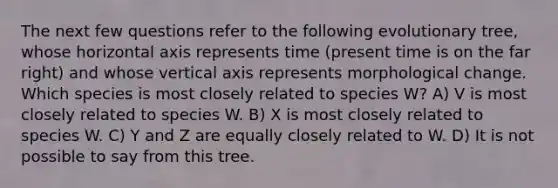 The next few questions refer to the following evolutionary tree, whose horizontal axis represents time (present time is on the far right) and whose vertical axis represents morphological change. Which species is most closely related to species W? A) V is most closely related to species W. B) X is most closely related to species W. C) Y and Z are equally closely related to W. D) It is not possible to say from this tree.