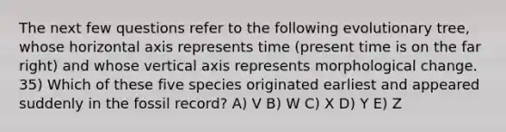 The next few questions refer to the following evolutionary tree, whose horizontal axis represents time (present time is on the far right) and whose vertical axis represents morphological change. 35) Which of these five species originated earliest and appeared suddenly in the fossil record? A) V B) W C) X D) Y E) Z