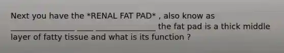 Next you have the *RENAL FAT PAD* , also know as ________________ ____ _______________ the fat pad is a thick middle layer of fatty tissue and what is its function ?