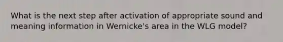 What is the next step after activation of appropriate sound and meaning information in Wernicke's area in the WLG model?