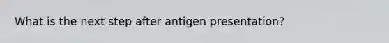 What is the next step after antigen presentation?