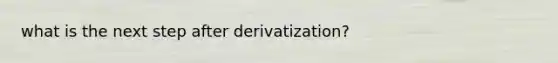 what is the next step after derivatization?