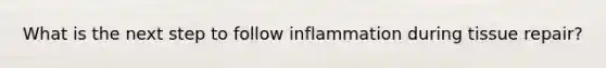 What is the next step to follow inflammation during tissue repair?