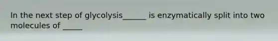 In the next step of glycolysis______ is enzymatically split into two molecules of _____