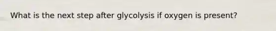 What is the next step after glycolysis if oxygen is present?