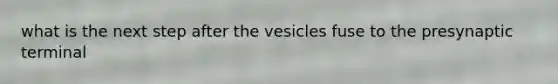 what is the next step after the vesicles fuse to the presynaptic terminal