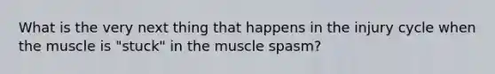 What is the very next thing that happens in the injury cycle when the muscle is "stuck" in the muscle spasm?