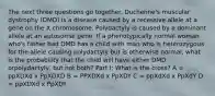 The next three questions go together. Duchenne's muscular dystrophy (DMD) is a disease caused by a recessive allele at a gene on the X chromosome. Polydactyly is caused by a dominant allele at an autosomal gene. If a phenotypically normal woman who's father had DMD has a child with man who is heterozygous for the allele causing polydactyly but is otherwise normal, what is the probability that the child will have either DMD orpolydactyly, but not both? Part I: What is the cross? A = ppXDXd x PpXDXD B = PPXDXd x PpXDY C = ppXdXd x PpXdY D = ppXDXd x PpXDY