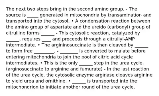 The next two steps bring in the second amino group. - The source is _____ generated in mitochondria by transamination and transported into the cytosol. • A condensation reaction between the amino group of aspartate and the ureido (carbonyl) group of citrulline forms ______ - This cytosolic reaction, catalyzed by ______, requires ____ and proceeds through a citrullyl-AMP intermediate. • The argininosuccinate is then cleaved by ______ to form free _________, - ________ is converted to malate before entering mitochondria to join the pool of citric acid cycle intermediates. • This is the only ______ step in the urea cycle. (arginosuccinate to arginine and fumurate) - In the last reaction of the urea cycle, the cytosolic enzyme arginase cleaves arginine to yield urea and ornithine. • ______ is transported into the mitochondrion to initiate another round of the urea cycle.