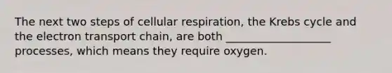 The next two steps of cellular respiration, the Krebs cycle and the electron transport chain, are both ___________________ processes, which means they require oxygen.