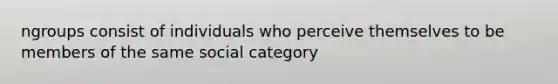 ngroups consist of individuals who perceive themselves to be members of the same social category