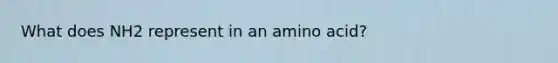 What does NH2 represent in an amino acid?