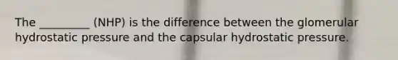 The _________ (NHP) is the difference between the glomerular hydrostatic pressure and the capsular hydrostatic pressure.