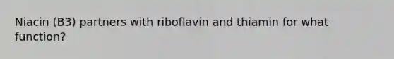 Niacin (B3) partners with riboflavin and thiamin for what function?