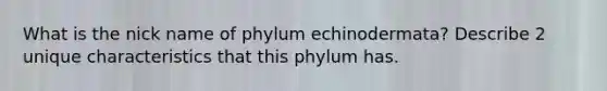 What is the nick name of phylum echinodermata? Describe 2 unique characteristics that this phylum has.