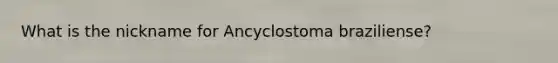 What is the nickname for Ancyclostoma braziliense?