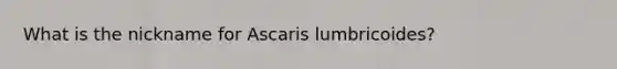 What is the nickname for Ascaris lumbricoides?