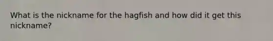 What is the nickname for the hagfish and how did it get this nickname?