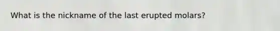 What is the nickname of the last erupted molars?