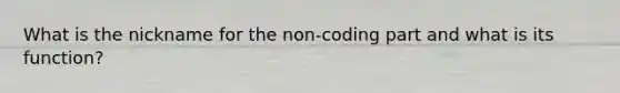 What is the nickname for the non-coding part and what is its function?