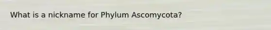 What is a nickname for Phylum Ascomycota?