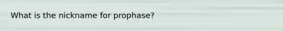 What is the nickname for prophase?