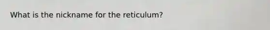 What is the nickname for the reticulum?