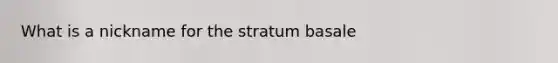 What is a nickname for the stratum basale