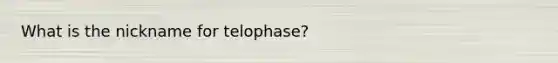 What is the nickname for telophase?