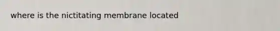 where is the nictitating membrane located