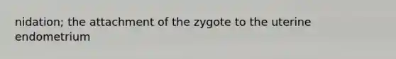 nidation; the attachment of the zygote to the uterine endometrium