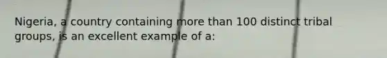 Nigeria, a country containing more than 100 distinct tribal groups, is an excellent example of a: