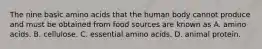 The nine basic amino acids that the human body cannot produce and must be obtained from food sources are known as A. amino acids. B. cellulose. C. essential amino acids. D. animal protein.