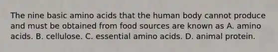 The nine basic <a href='https://www.questionai.com/knowledge/k9gb720LCl-amino-acids' class='anchor-knowledge'>amino acids</a> that the human body cannot produce and must be obtained from food sources are known as A. amino acids. B. cellulose. C. essential amino acids. D. animal protein.