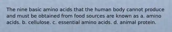 The nine basic amino acids that the human body cannot produce and must be obtained from food sources are known as a. amino acids. b. cellulose. c. essential amino acids. d. animal protein.